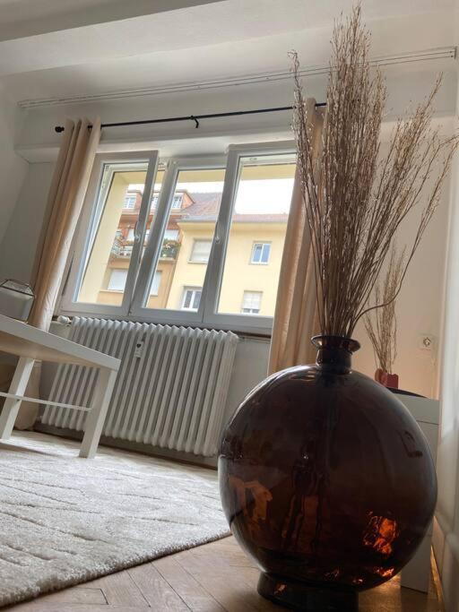 Charismatique Orangerie-10Min Parlement Eu-Wifi-Tv Daire Strazburg Dış mekan fotoğraf